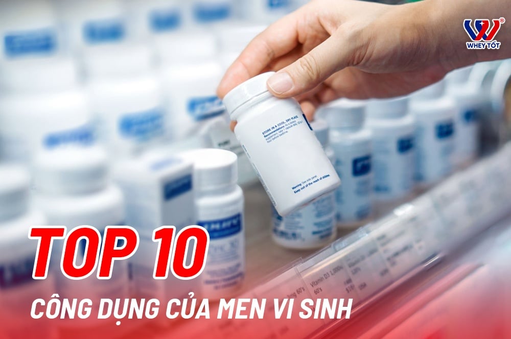 10 Tác Dụng Tuyệt Vời Của Probiotics Men Vi Sinh Và Nơi Mua