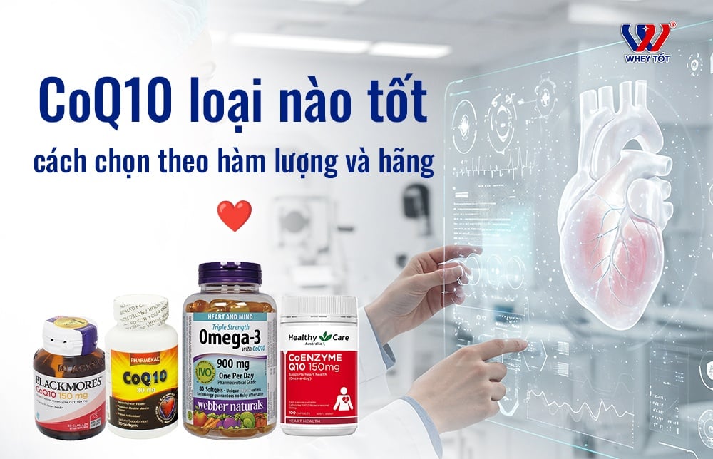 CoQ10 loại nào tốt, cách chọn theo hàm lượng và hãng