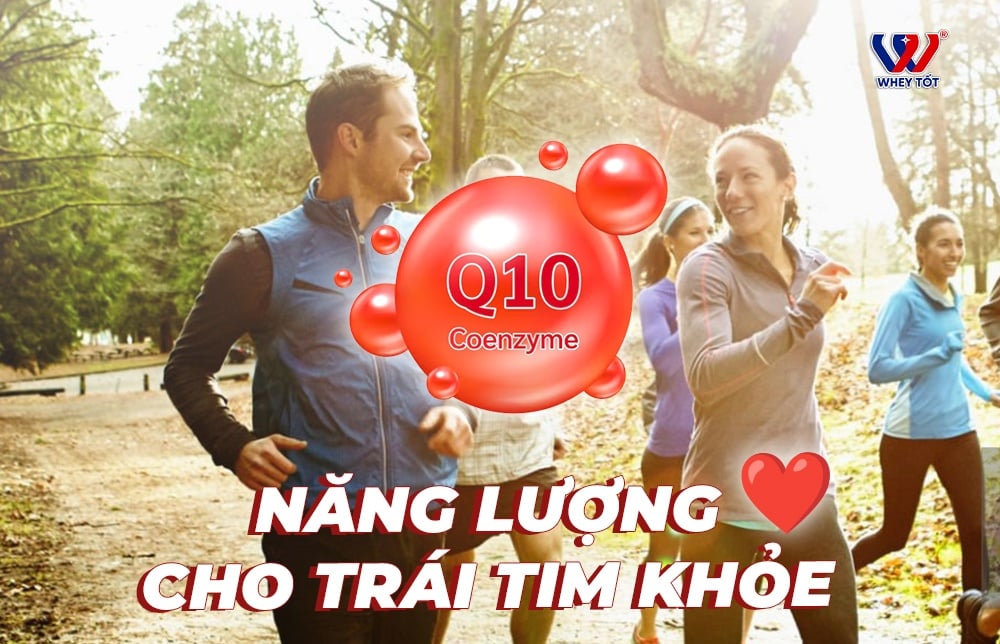 CoQ10 là gì, có tác dụng gì và ai nên bổ sung