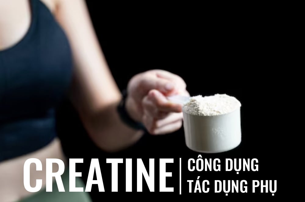 Creatine Là Gì Tất Tần Tật Về Công Dụng Và Tác Dụng Phụ