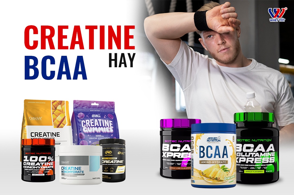Nên Dùng Creatine Hay BCAA Lựa Chọn Nào Tốt Hơn Cho Gymer