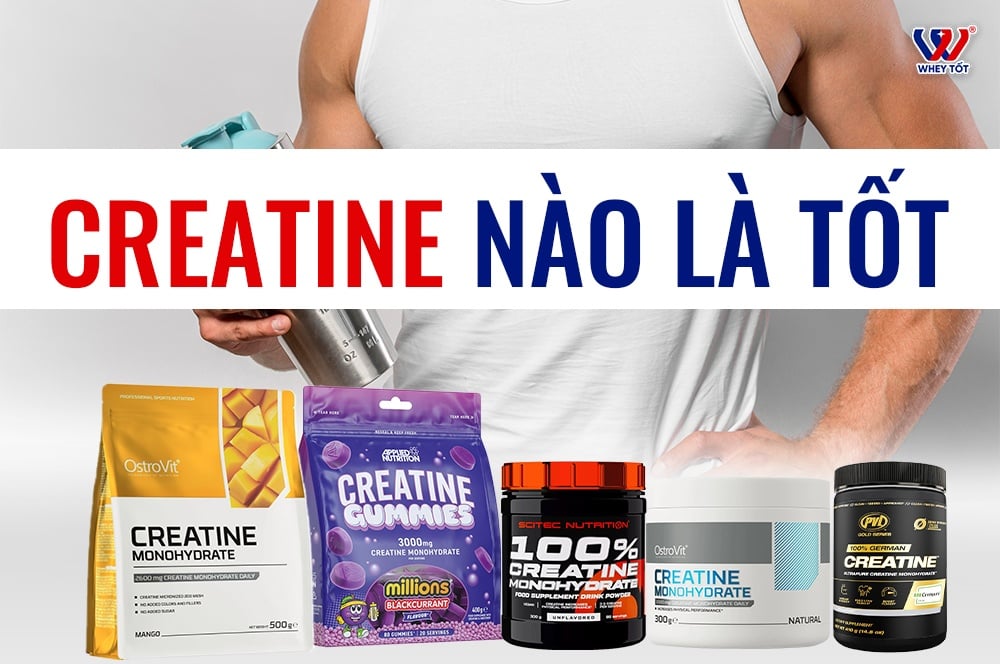 Review Creatine Loại Nào Tốt Nhất Hiện Nay Cho Gymer