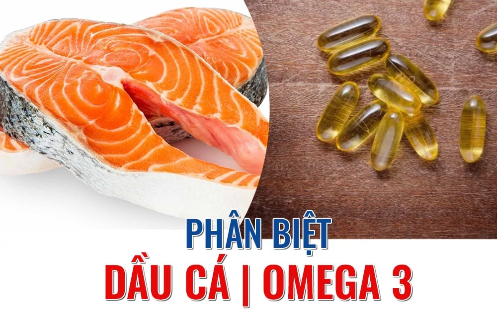 Dầu cá là gì? Dầu cá và omega 3 khác nhau thế nào, có uống thay nhau