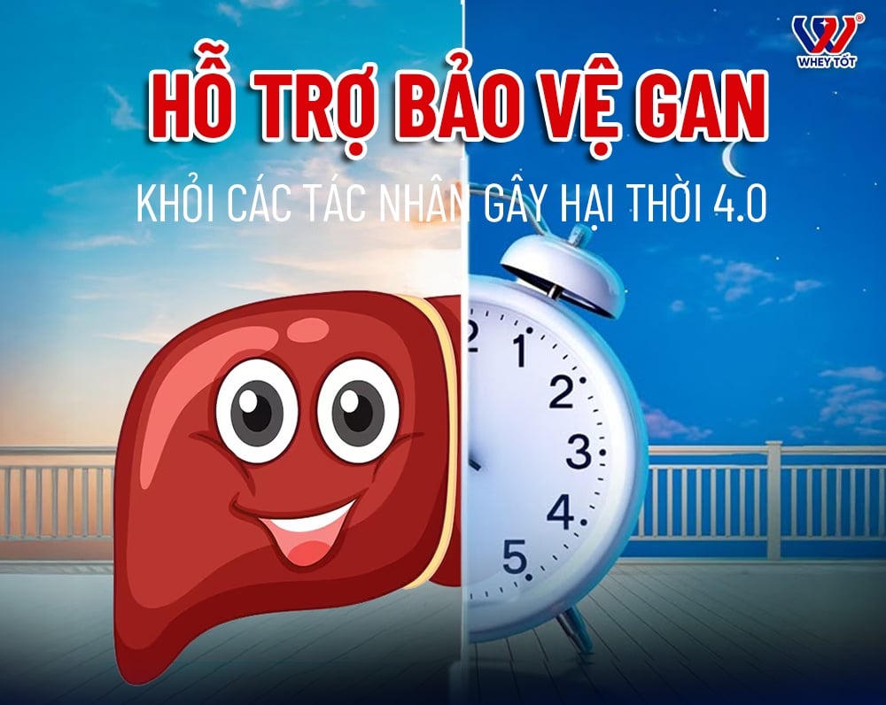 Hướng Dẫn Cách Uống Milk Thistle Bổ Gan Đúng Cách Và Hiệu Quả Nhất