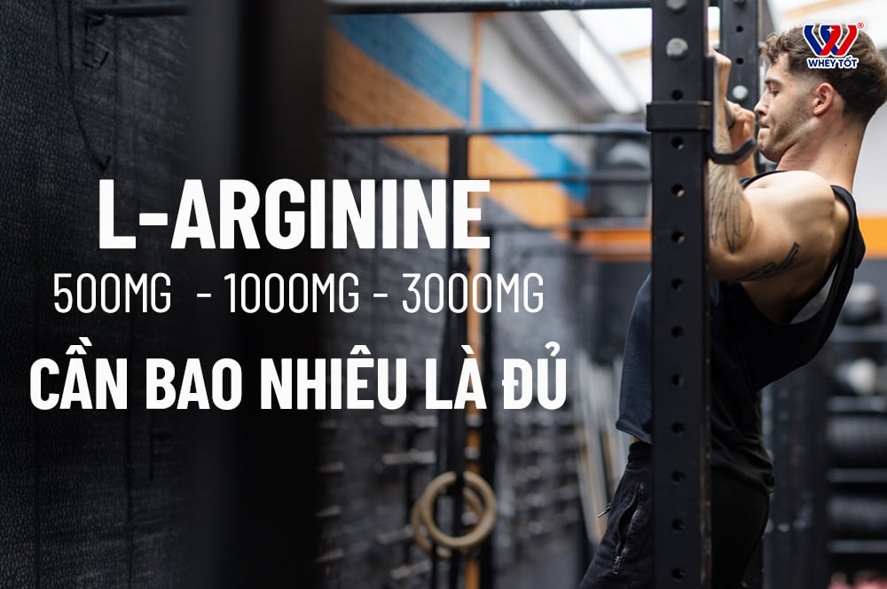 Liều Dùng L-Arginine 500mg 1000mg 3000mg - Hướng Dẫn Chi Tiết