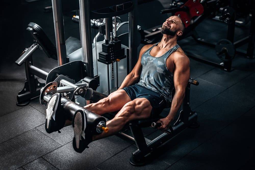 Leg Day là gì? Hướng dẫn các bài tập chân và bụng hiệu quả cho leg day