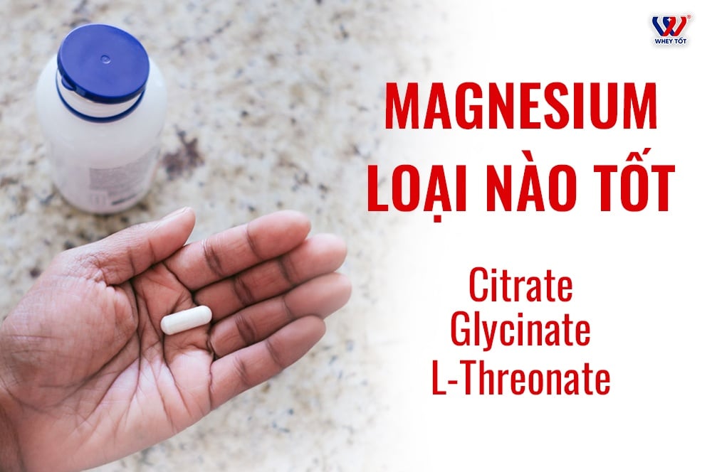 Hướng Dẫn Chọn Các Dạng Magnesium Citrate Phù Hợp Thể Trạng
