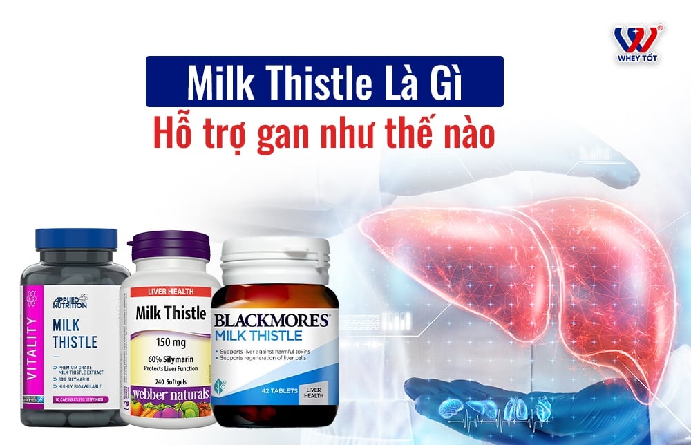 v Và Top Viên Uống Bổ Gan Tốt Nhất Hiện Nay