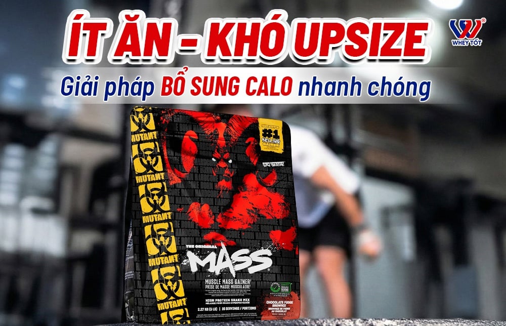 Review Mutant Mass Gainer 15Lbs - Có Tốt Không & Ai Nên Dùng