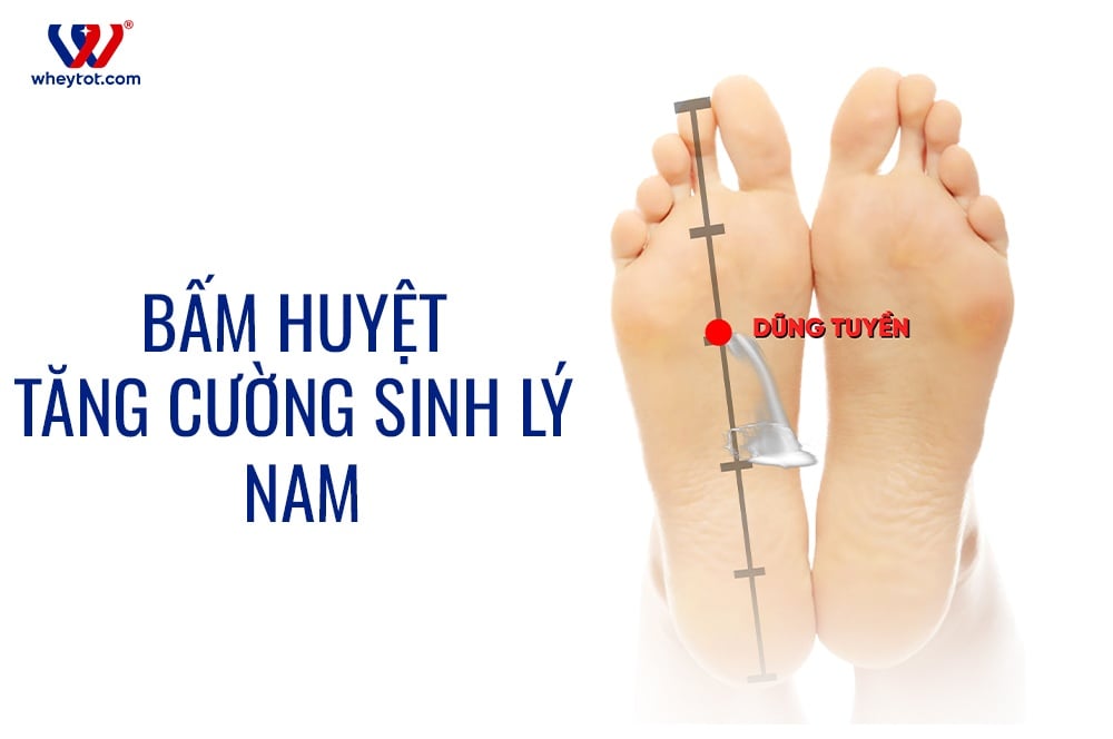 Hướng Dẫn Bấm Huyệt Tăng Cường Sinh Lý Nam Hiệu Quả Ngay Lần Đầu