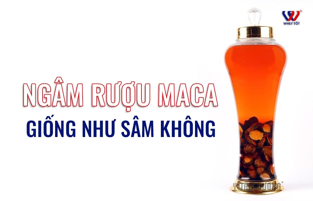 Rượu maca ngâm như thế nào? Tỷ lệ, thời gian ngâm và lưu ý khi dùng