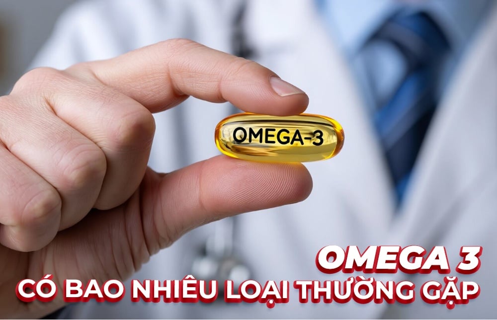 Omega 3 có mấy loại? Phân biệt ALA, EPA, DHA và dạng TG, rTG, EE
