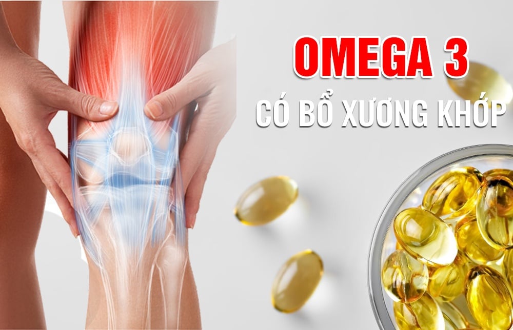 Omega 3 nào tốt cho xương khớp? Bằng chứng nghiên cứu và liều EPA, DHA