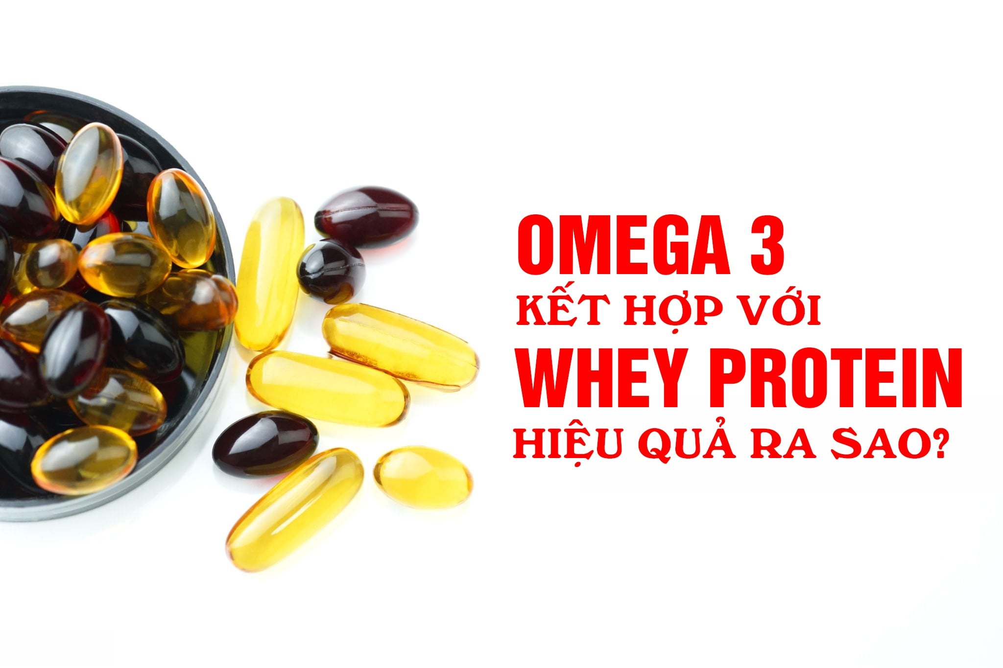 Omega 3 cho người tập gym: phục hồi cơ, liều dùng và kết hợp với whey