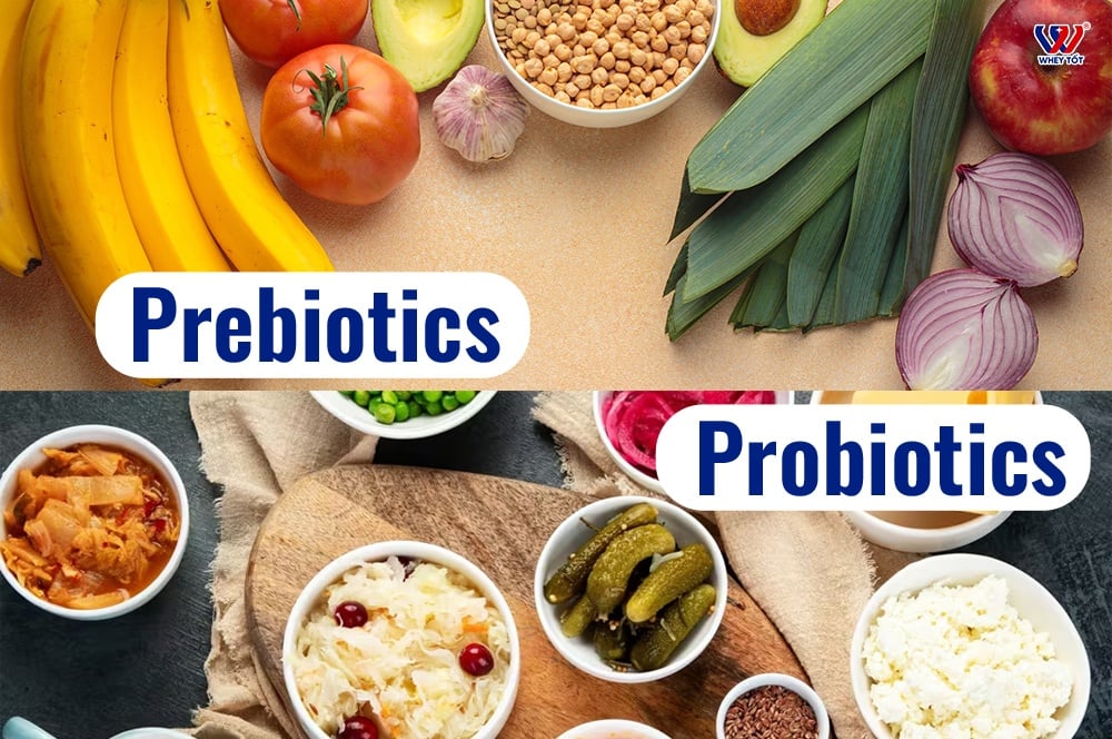 Cách Phân Biệt Probiotics Và Prebiotics Để Chăm Sóc Đường Ruột