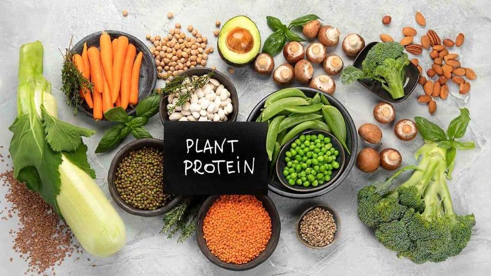 Plant protein là gì? Top 5 loại tốt nhất với người tập gym & ăn chay 2025
