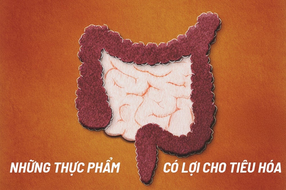 Tổng Hợp 11 Thực Phẩm Chứa Probiotics Tốt Nhất Cho Cơ Thể