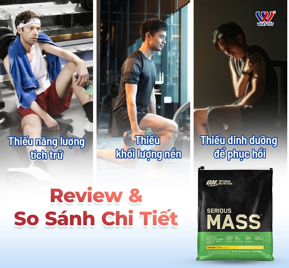 Optimum Nutrition Mass Gainer Có Tốt Không - Review & So Sánh Chi Tiết