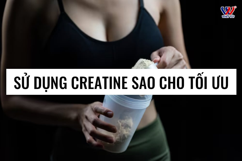 Hướng Dẫn Cách Dùng Creatine Hiệu Quả Tối Ưu Cho Người Mới