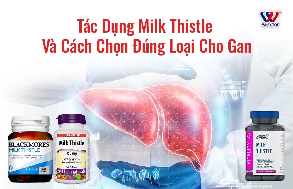 Viên Uống Milk Thistle - Tác Dụng Và Cách Chọn Đúng Loại Cho Gan