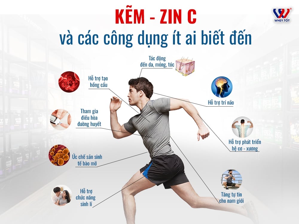 5 Tác Dụng Tuyệt Vời Của Zinc Và Cách Bổ Sung Kẽm Đúng Chuẩn