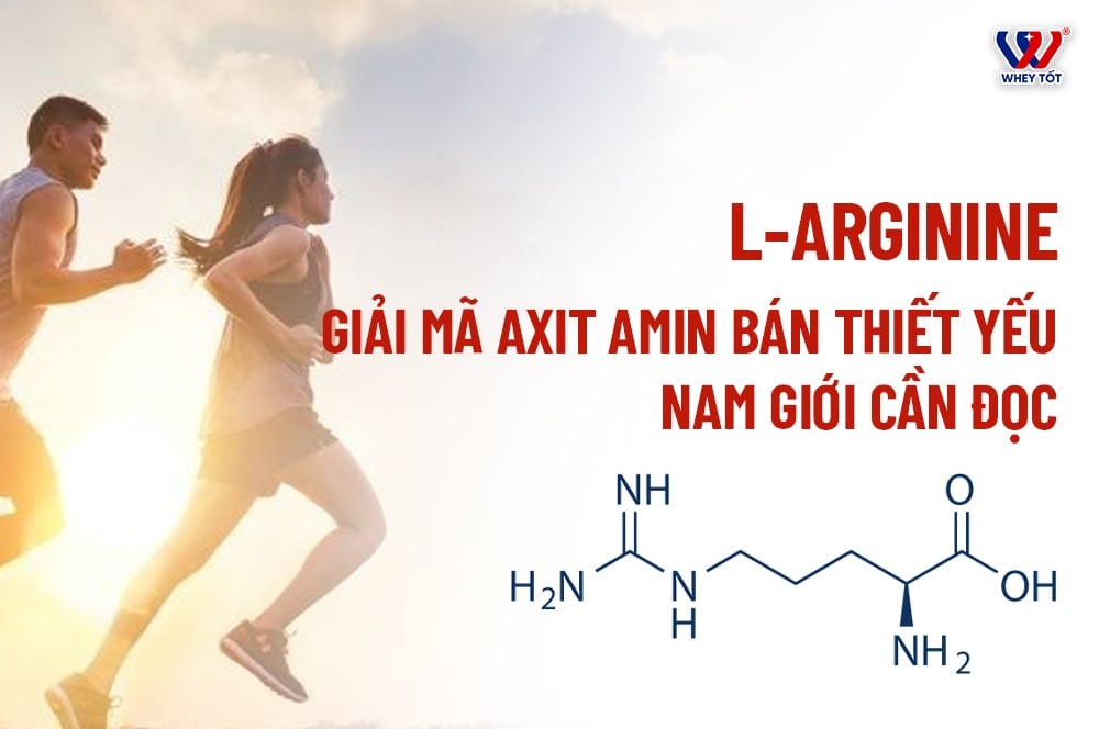 L-Arginine Là Gì - 7 Công Dụng Vàng Và Cách Dùng Đúng Cho Sức Khỏe