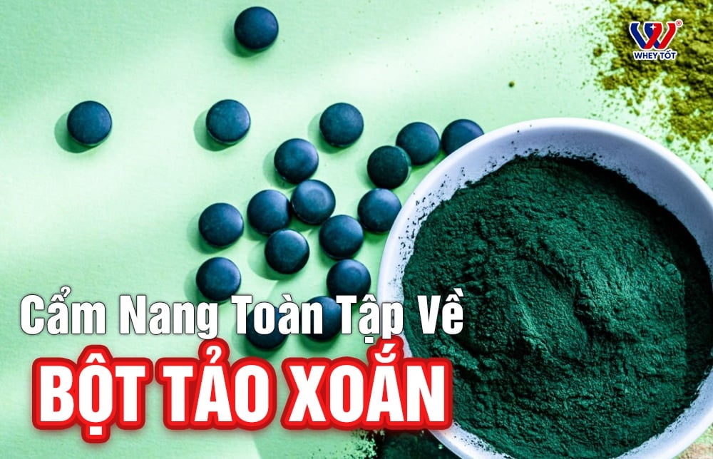 Tảo Xoắn Là Gì Cẩm Nang Toàn Tập Về Siêu Thực Phẩm Spirulina