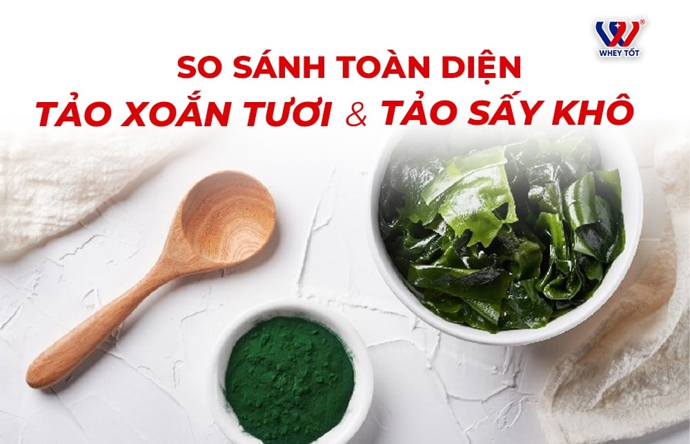 Tảo Xoắn Tươi Và Tảo Sấy Khô So Sánh Toàn Diện Để Lựa Chọn Phù Hợp