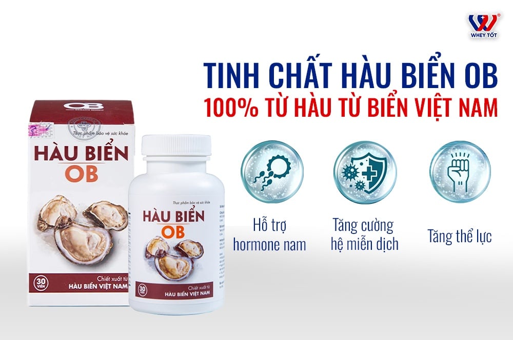 Hướng Dẫn Sử Dụng Tinh Chất Hàu Biển OB Đúng Để Cải Thiện Sinh Lực