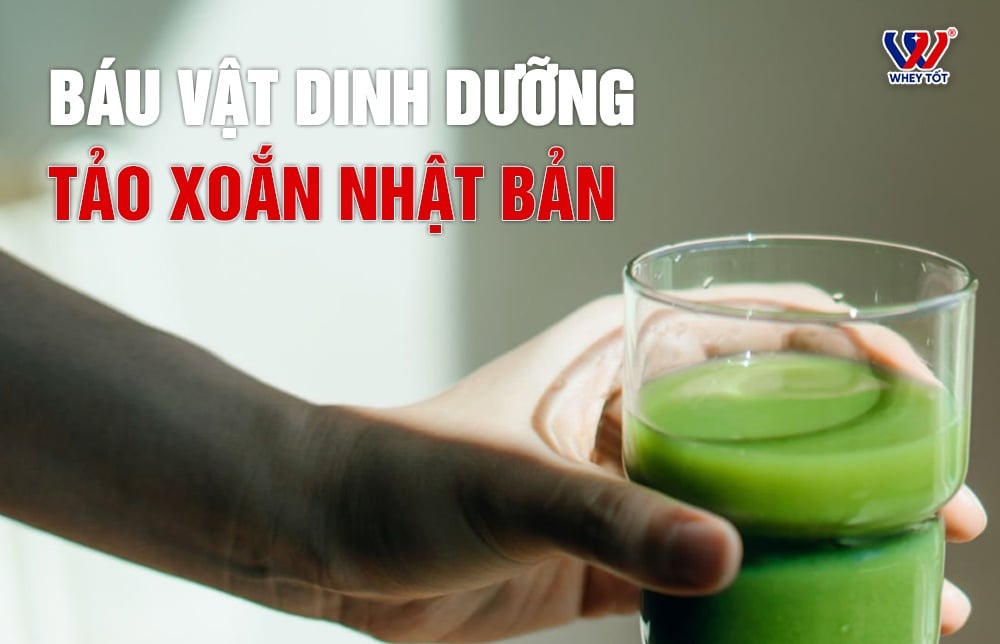 Tảo Xoắn Nhật Bản Vì Sao Được Mệnh Danh Là Báu Vật Dinh Dưỡng