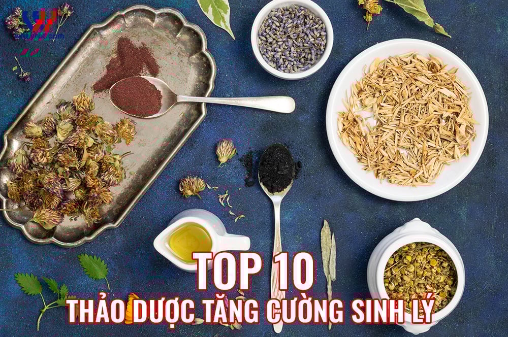Top 10 Thảo Dược Tăng Cường Sinh Lý Nam An Toàn Và Lành Tính