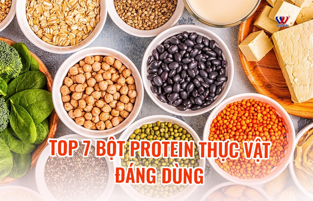 Top 7 bột protein thực vật đáng dùng cho người tập gym