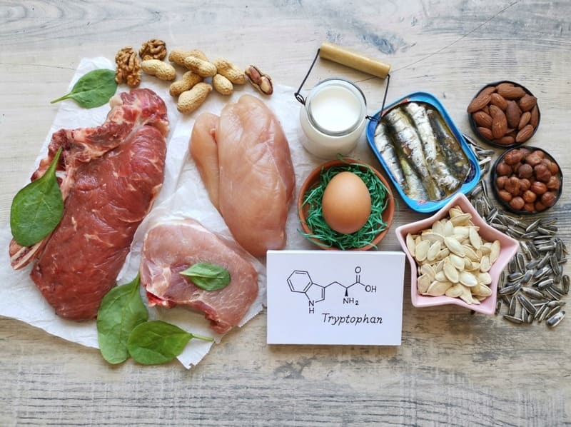 Tryptophan là gì? 7 tác dụng của Tryptophan đối với cơ thể