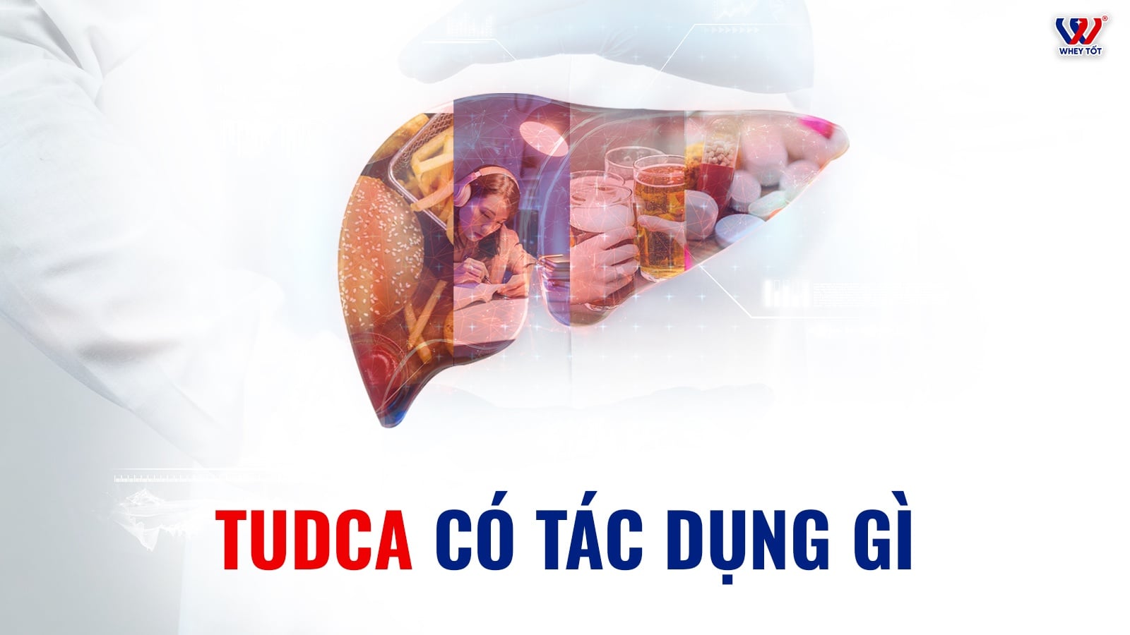 TUDCA có tác dụng gì, 7 vai trò sinh học theo nghiên cứu khoa học