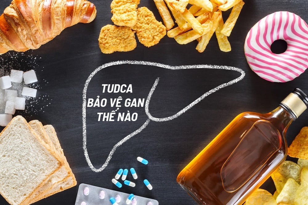 TUDCA Là Gì Công Dụng Giải Độc Gan Và Cách Dùng Hiệu Quả Nhất