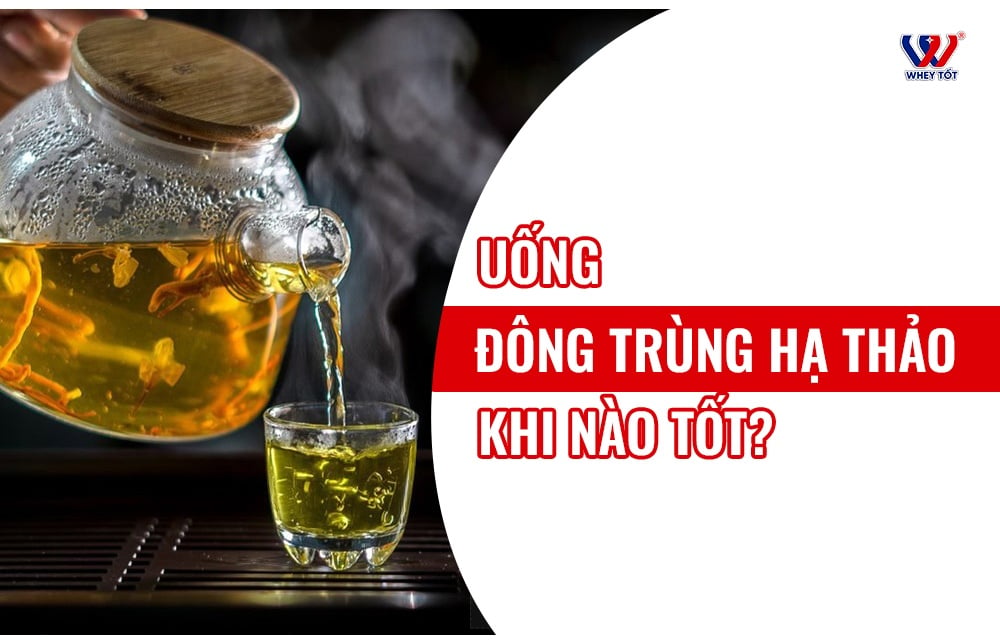 Uống đông trùng hạ thảo vào lúc nào tốt? Thời điểm vàng ít người biết