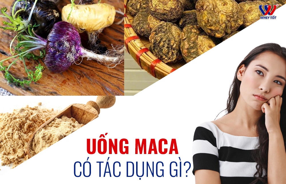 Viên uống maca có tác dụng gì? Bằng chứng thật cho từng công dụng