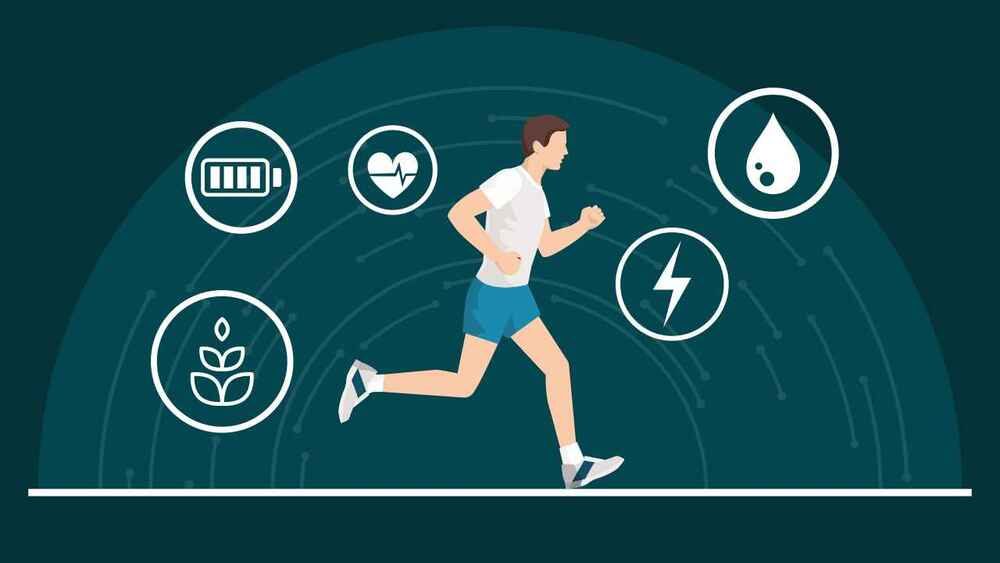 Vai trò của chất béo trong tăng cơ và cân bằng hormone