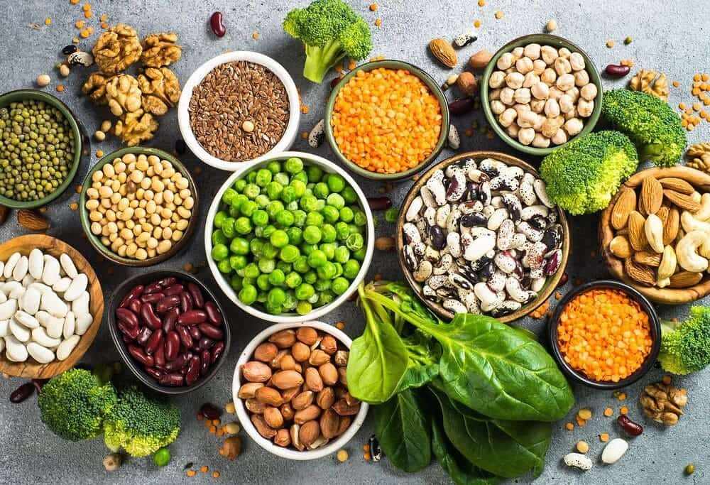 Vegan protein là gì? Top 6 sản phẩm vegan protein tăng cơ cho người ăn chay