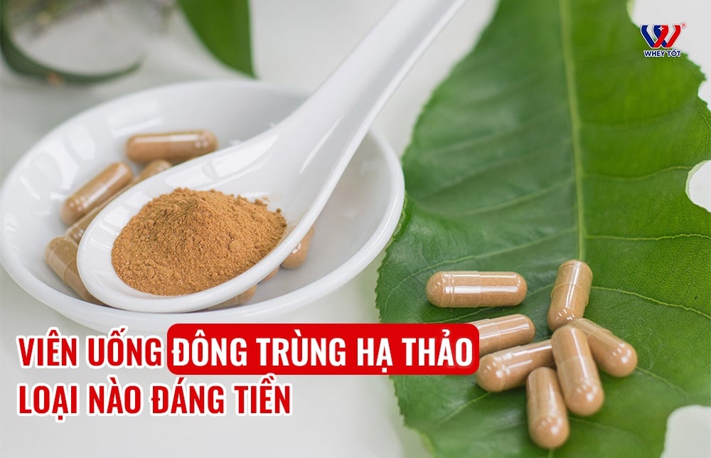 Viên uống đông trùng hạ thảo loại nào đáng tiền? Cách đọc nhãn chuẩn