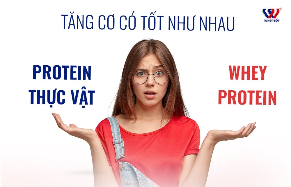 Whey protein thực vật có tăng cơ tốt như whey sữa không