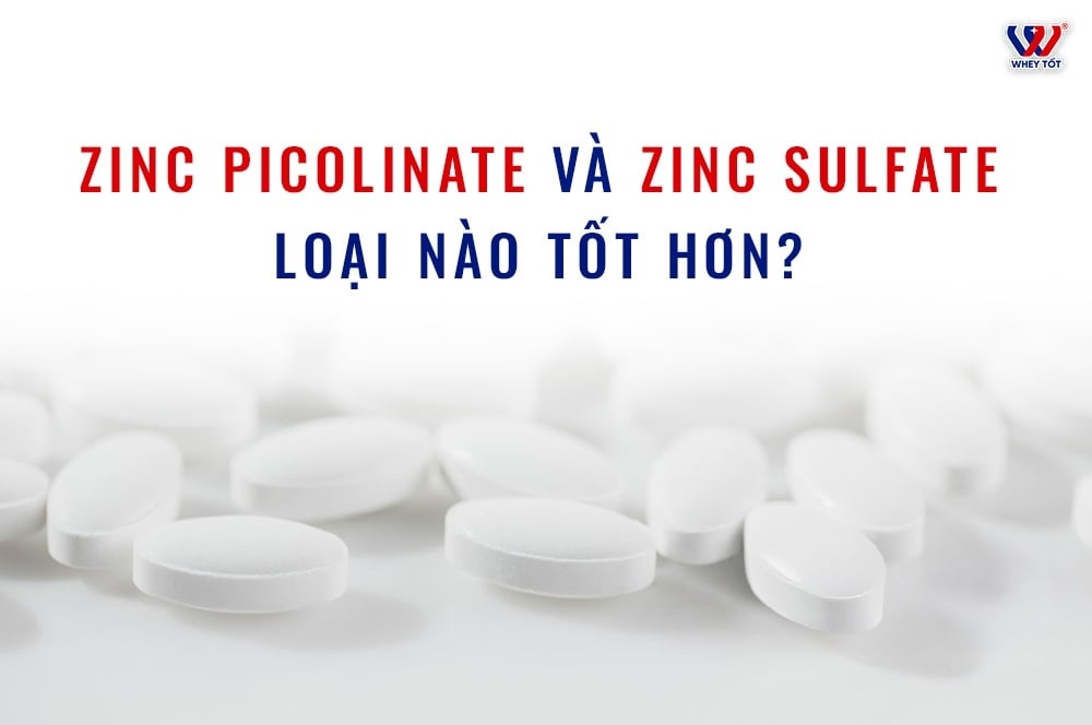 So Sánh Khả Năng Hấp Thu Của Zinc Picolinate Và Zinc Sulfate