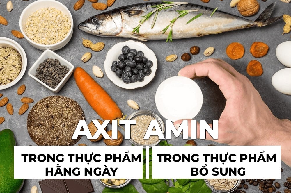 axit amin trong dinh dưỡng hằng ngày