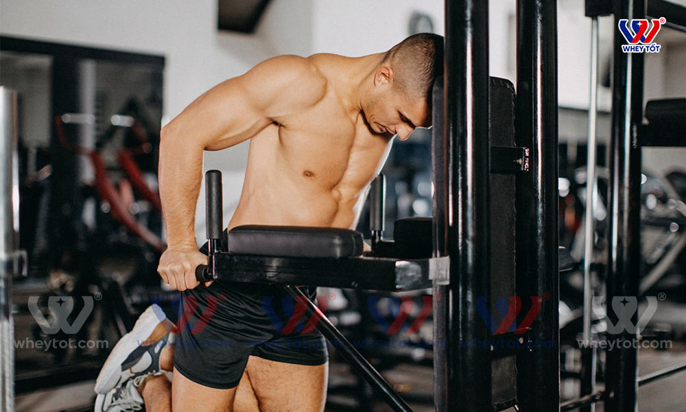 tập ngực với xà kép có thể dùng trợ lực bằng dây kháng lực