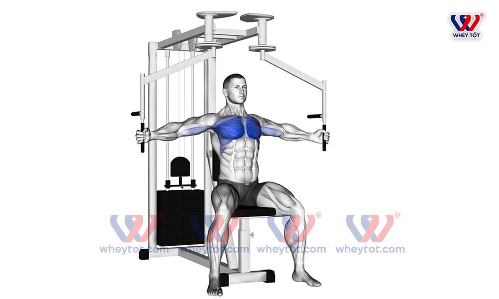 ép ngực để cảm nhận cơ ngực tốt hơn