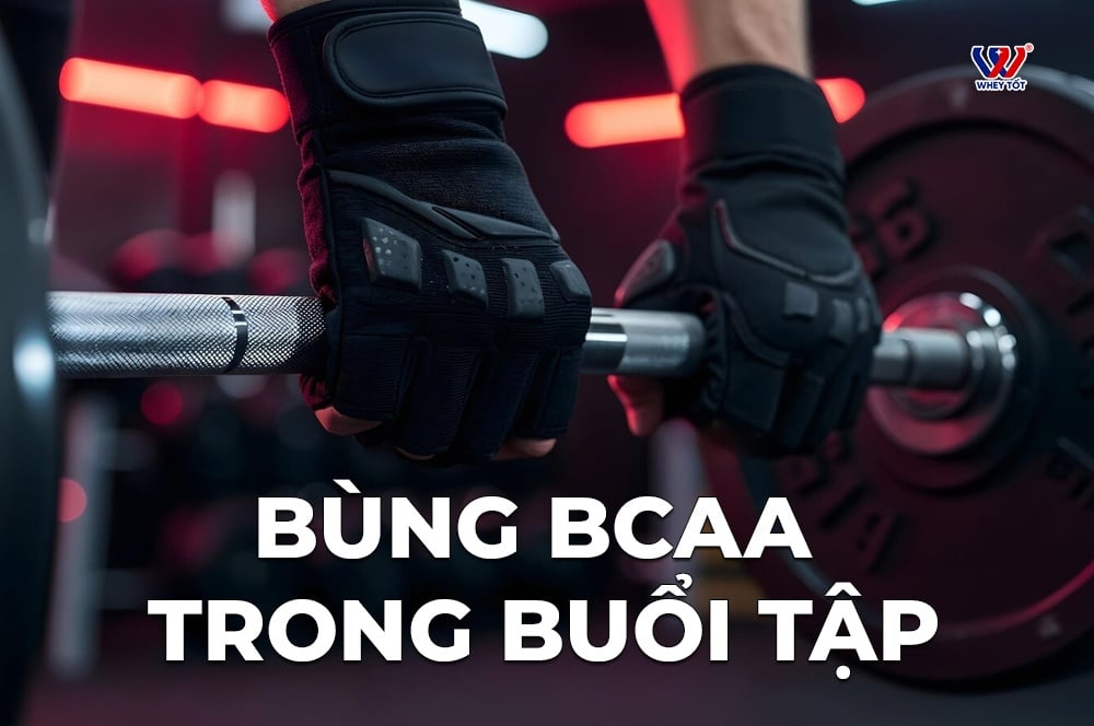 dùng bcaa trong buổi tập