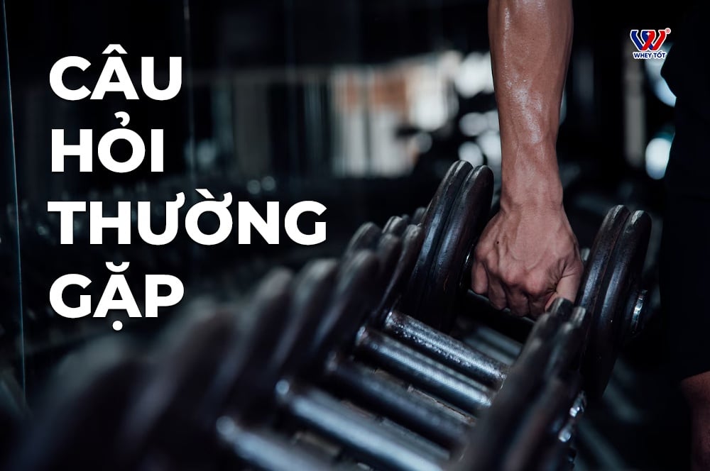cau hoi thuong gap