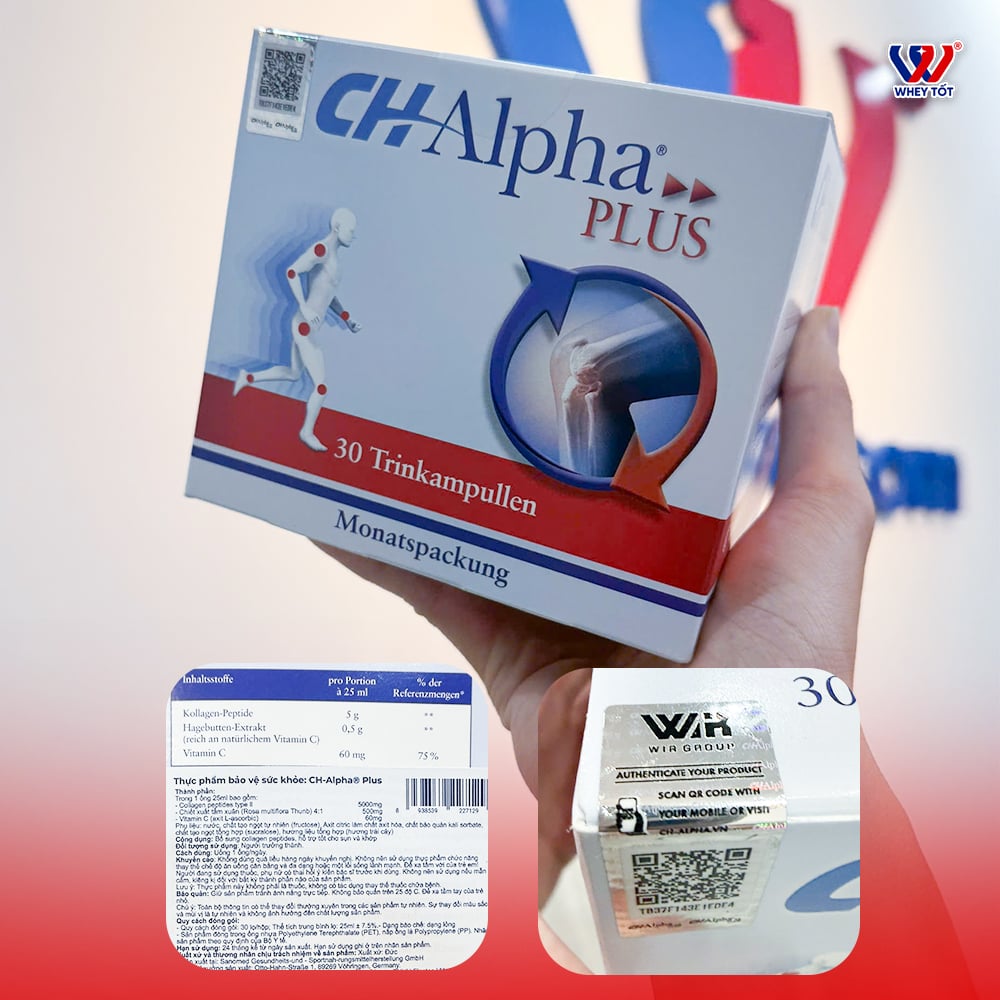 Hỗ Trợ Tái Tạo Sụn Khớp