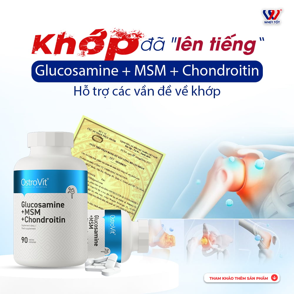 Ostrovit Hỗ Trợ Xương Khớp Glucosamin + MSM + Chondrotin | 90  Viên