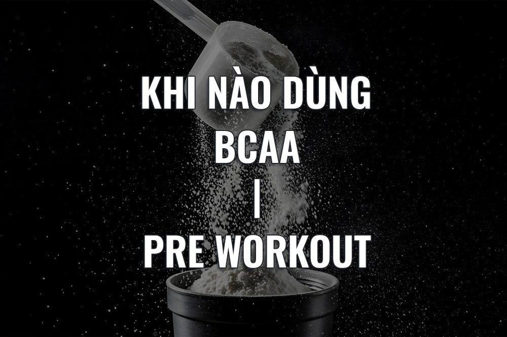 pre workout hay bcaa